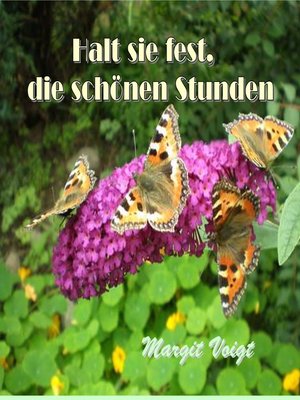 cover image of Halt sie fest, die schönen Stunden